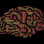 A graphic of a brain with a word cloud in it, with phrases such as memory, belief, story, experience etc. in it.