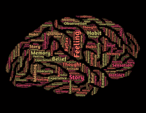 A graphic of a brain with a word cloud in it, with phrases such as memory, belief, story, experience etc. in it.